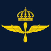 VIGGEN Flygvapnet MENIG VIGGEN Flygvapnet MENIG
